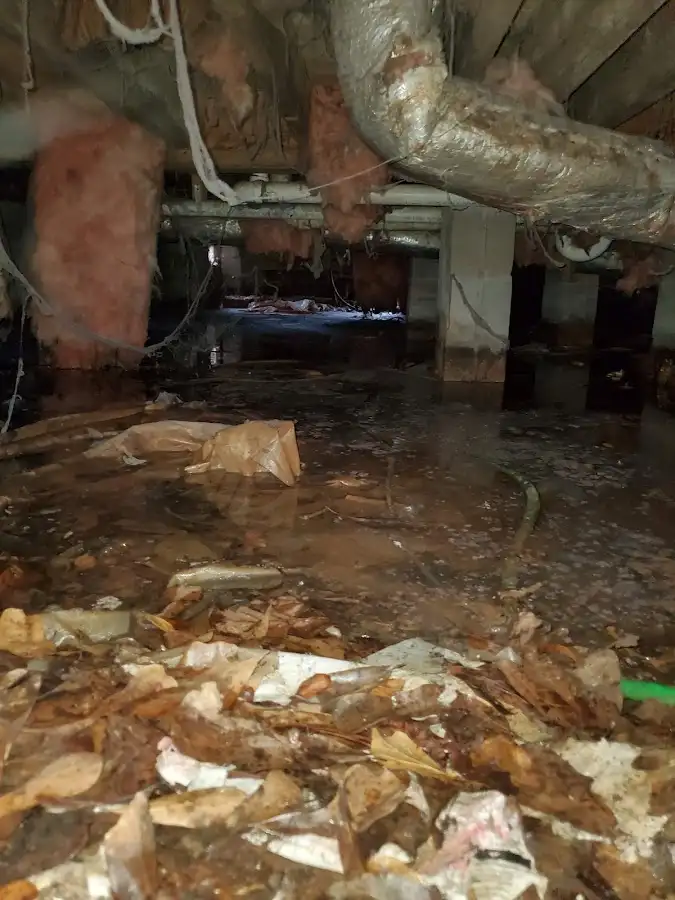 Crawl space flood assessment for Leak Detection & Repair in Westminster